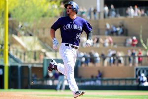 Photo Credit: Matt Kartozian-USA TODAY Sports