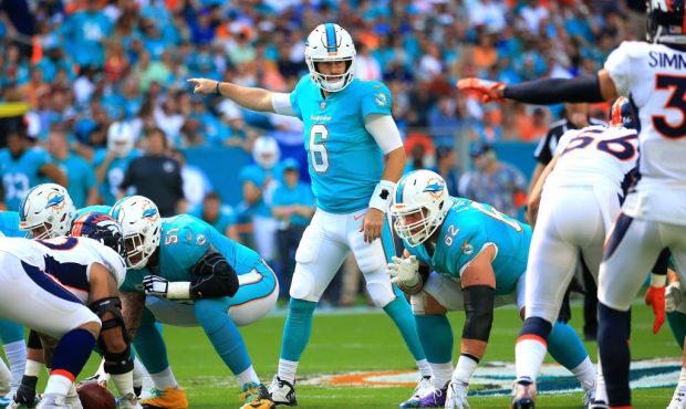MIAMI GARDENS, FL - DECEMBER 03: Jay Cutler #6 of the Miami Dolphins during the first quarter again...