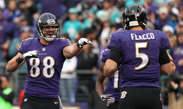 BALTIMORE, MD - DECEMBER 4: Tight end Dennis Pitta #88 of the Baltimore Ravens celebrates with team...