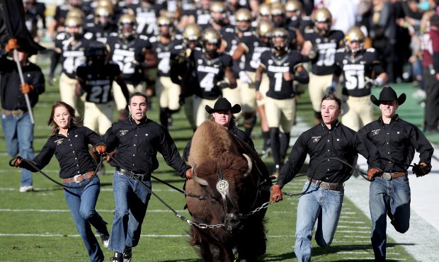 Ralphie the Buffalo leads the Colorado Buffaloes onto the field for their game against the USC Troj...