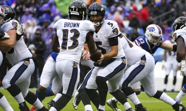 Baltimore Ravens quarterback Joe Flacco (5) hands the ball off to wide receiver John Brown (13) on ...