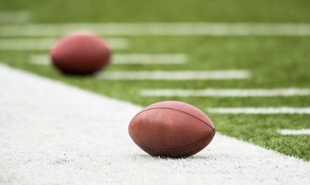 ORCHARD PARK, NY - NOVEMBER 27: American footballs rest on the sideline before the game between the...