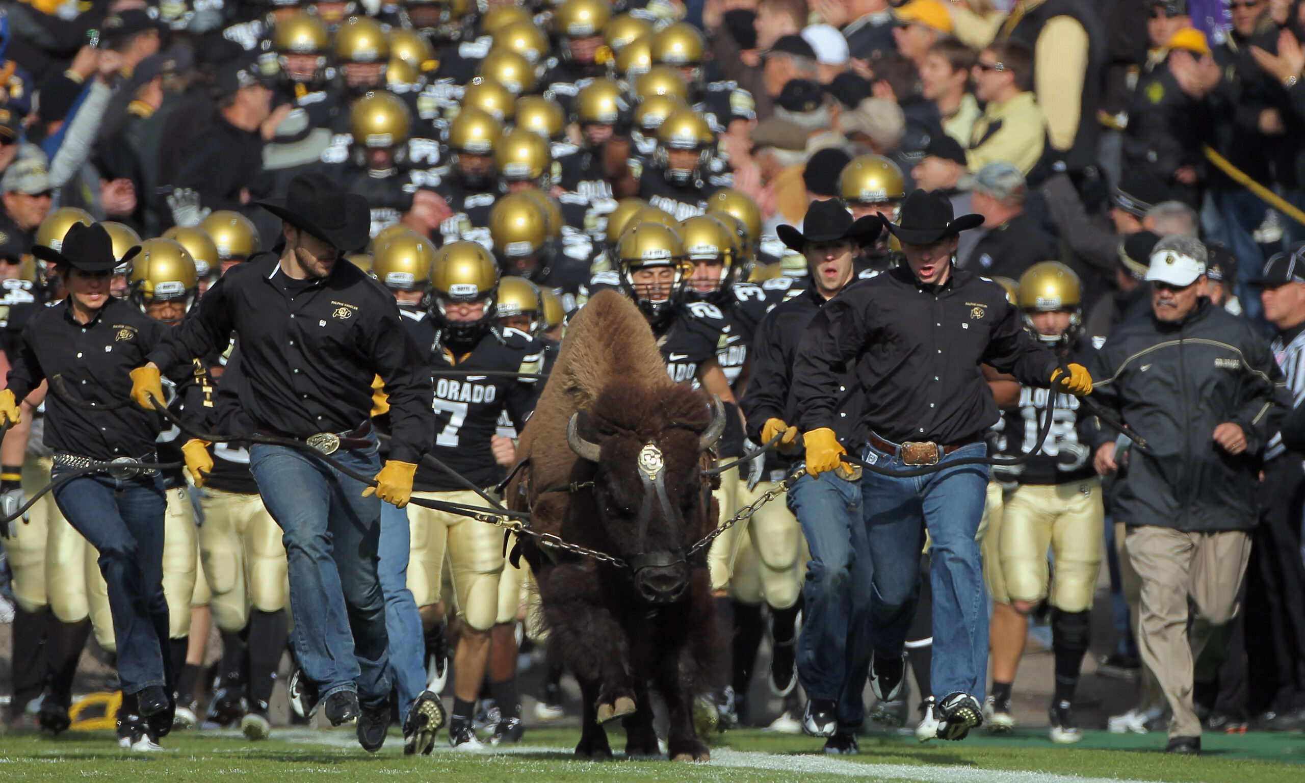 Colorado Buffaloes...