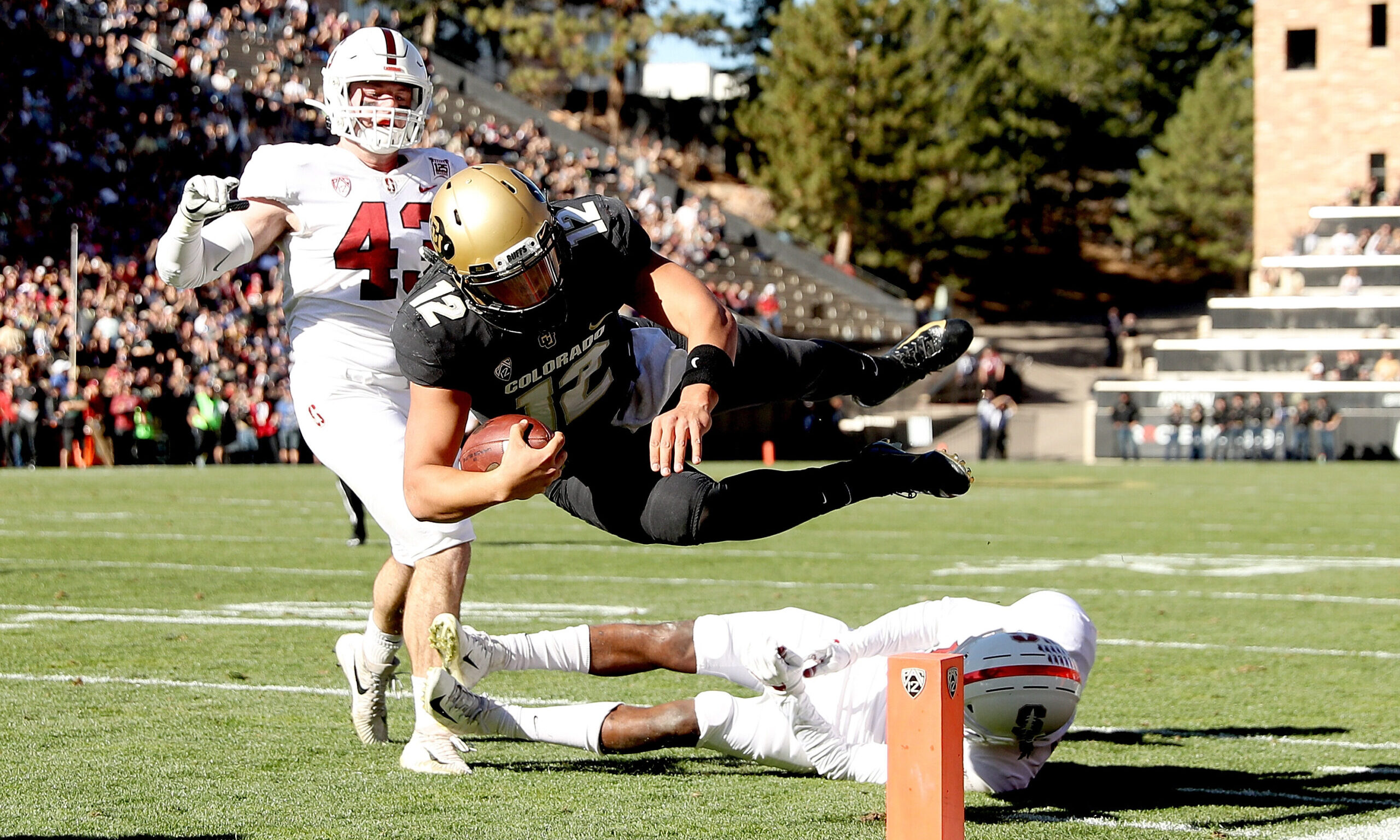 CU Buffs...