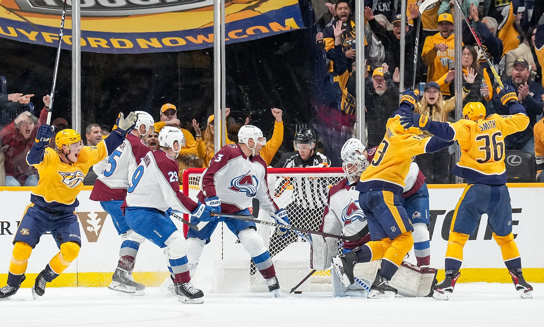 Avalanche Predators...